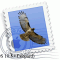 nr_email_macmail_leopard_01_59
